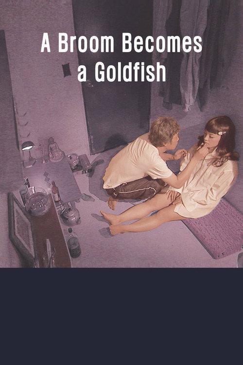 A Broom Becomes a Goldfish 2010 official movie poster
