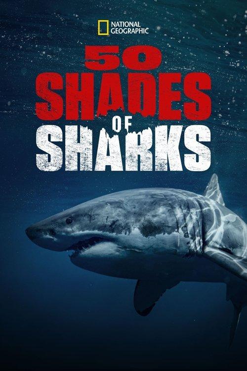 50 Shades of Sharks 2020 official movie poster