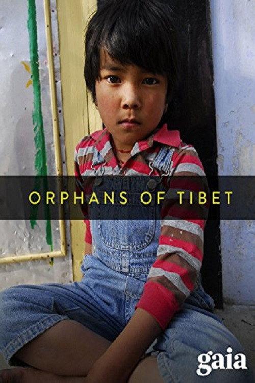 Orphans of Tibet 2010 official movie poster