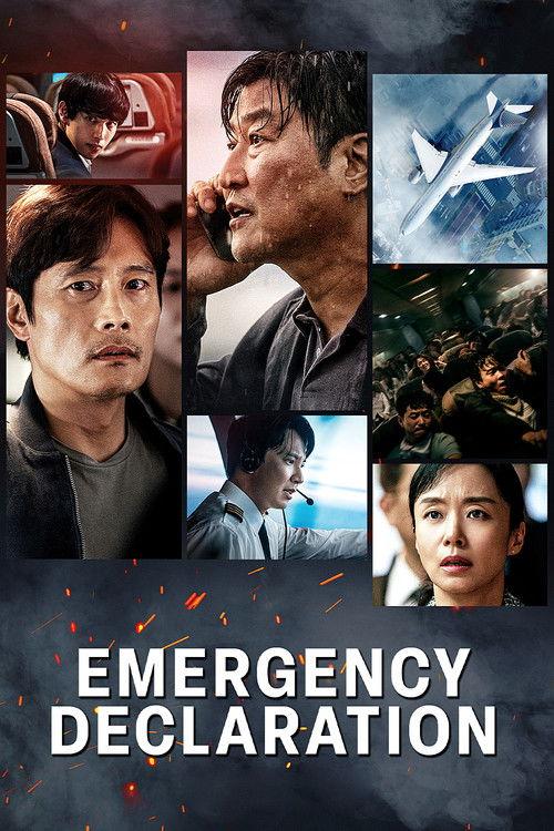 Emergency Declaration 2022 official movie poster