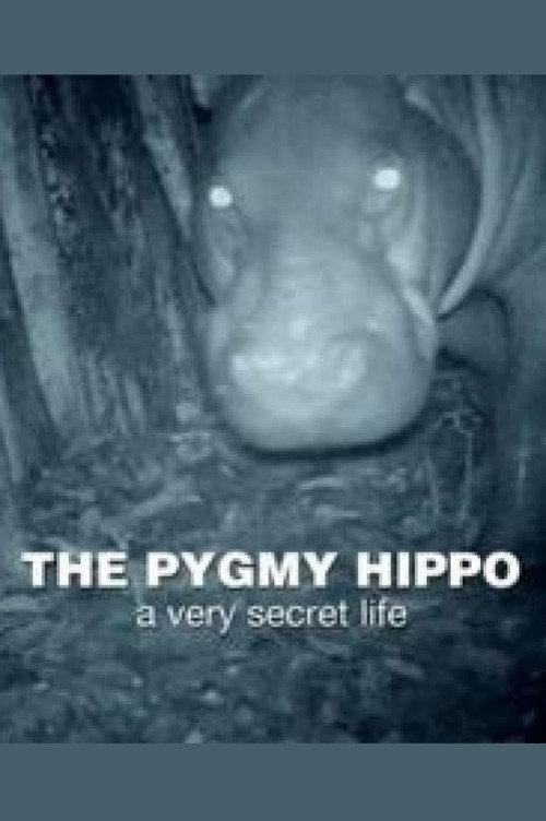 The Pygmy Hippo: A Very Secret Life 2014 official movie poster