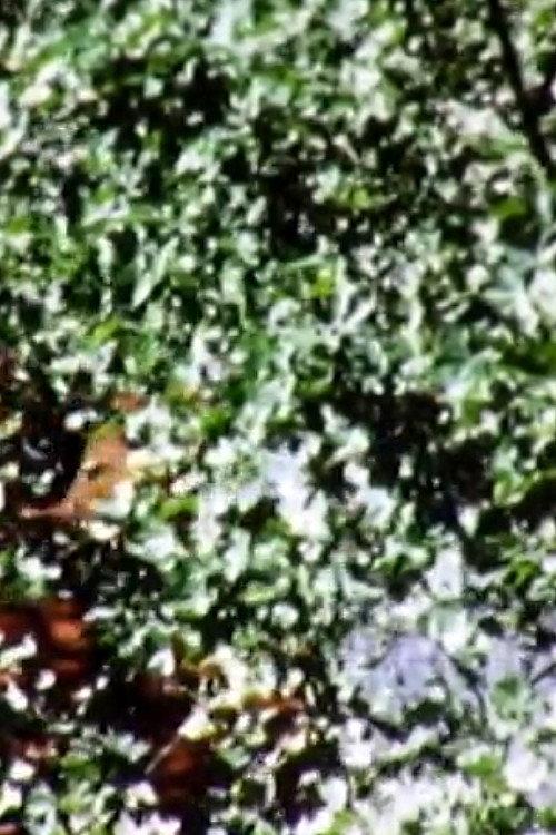 Leaves 1973 official movie poster