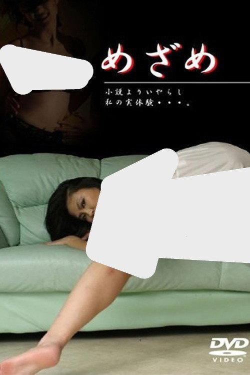 Awakening 2005 official movie poster