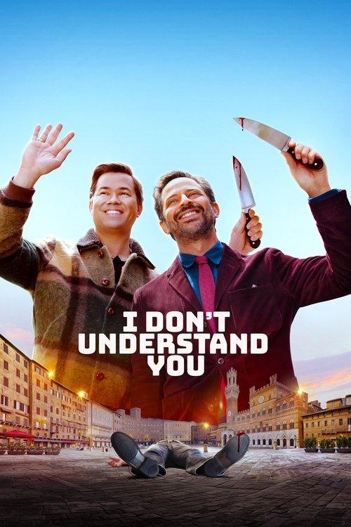 I Don't Understand You 2024 official movie poster