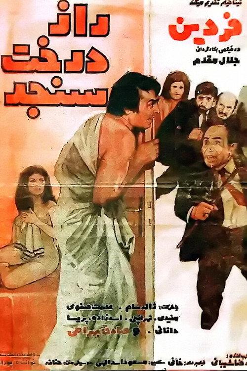 The secret of the oleaster tree 1972 official movie poster