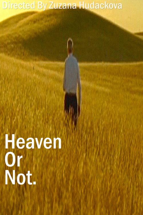 Heaven Or Not 2007 official movie poster