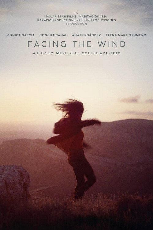 Facing the Wind 2018 official movie poster
