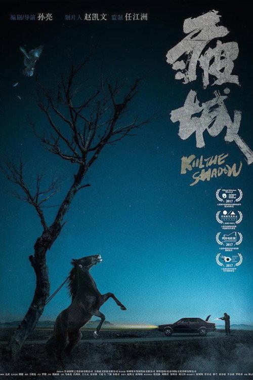 Kill the Shadow 2020 official movie poster