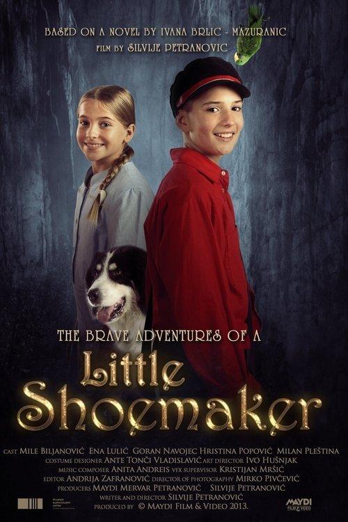 The Brave Adventures of a Little Shoemaker 2013 official movie poster