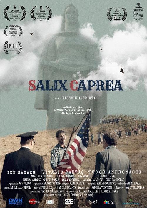 Salix Caprea 2018 official movie poster