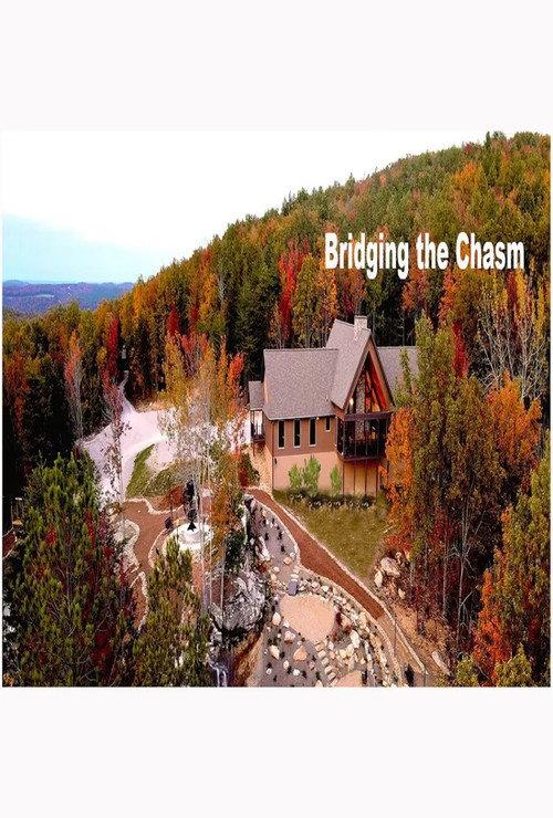 Bridging the Chasm 2022 official movie poster