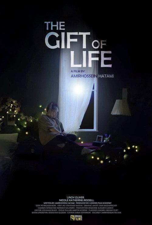 The Gift of Life 2024 official movie poster