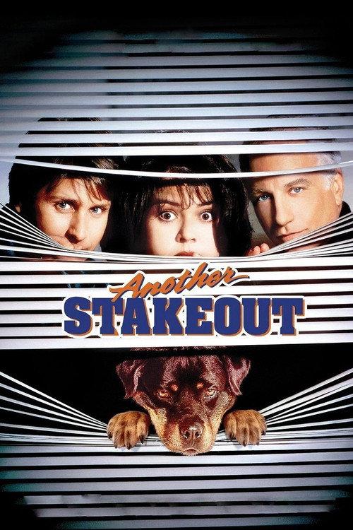 Another Stakeout 1993 official movie poster