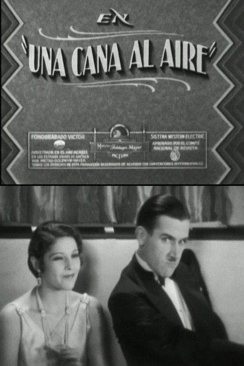 A gray in the air 1930 official movie poster