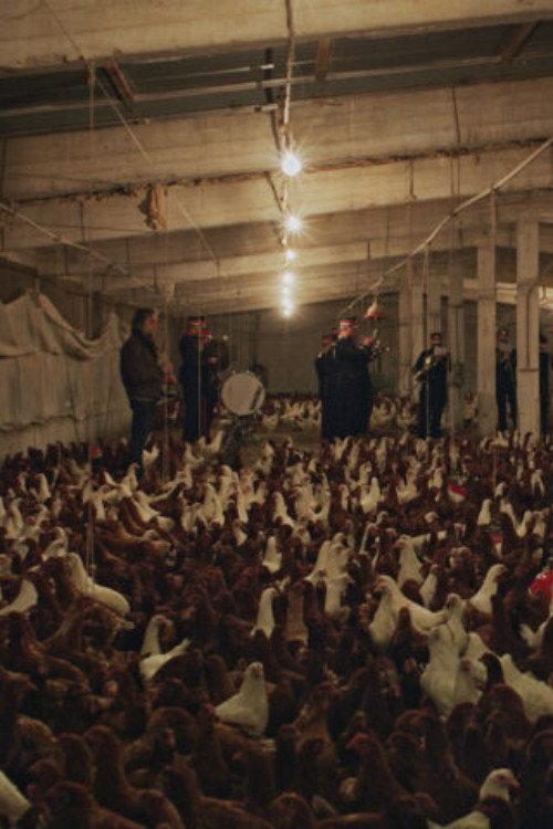If I Ever Get A Monument Chickens Will Do It For Me (Requiem#3) 2021 official movie poster