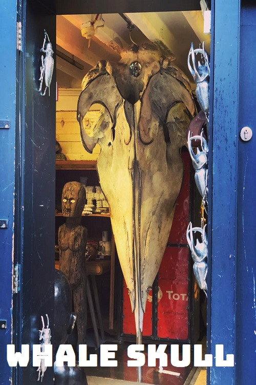 Whale Skull 2020 official movie poster