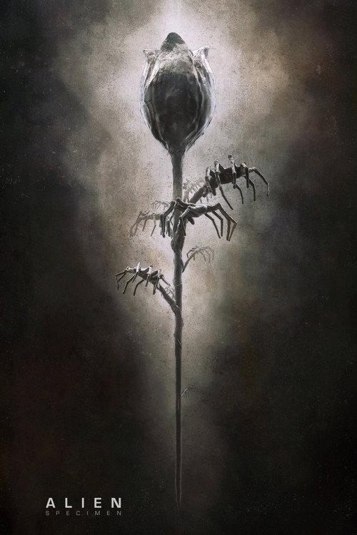 Alien: Specimen 2019 official movie poster