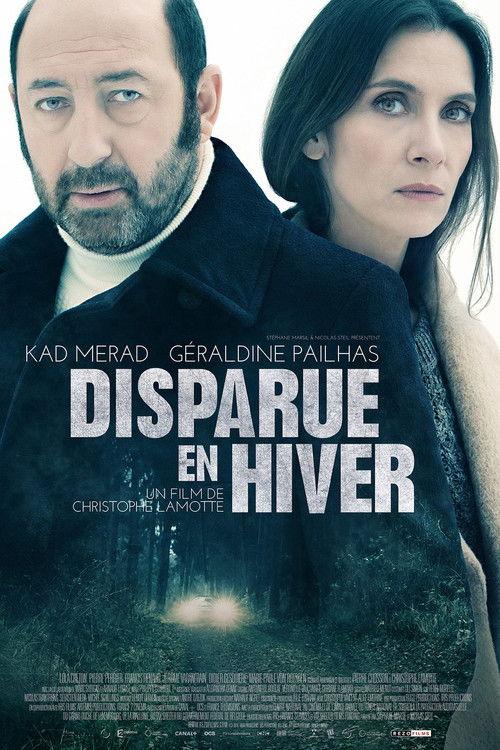 Disappeared in Winter 2015 official movie poster