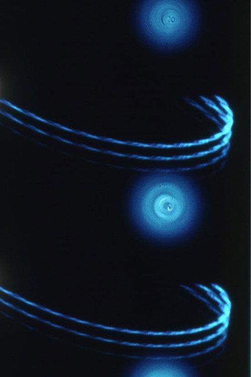 Pasteur³ 1976 official movie poster