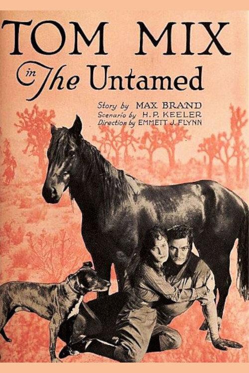 The Untamed 1920 official movie poster