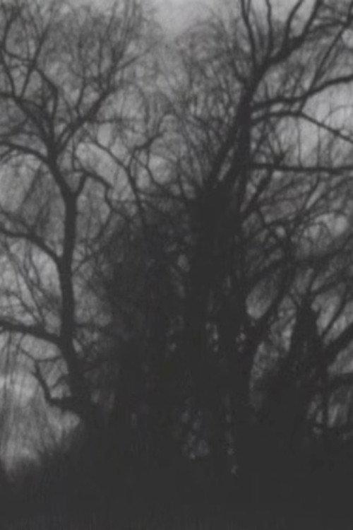 Late Autumn, Early Winter 2015 official movie poster