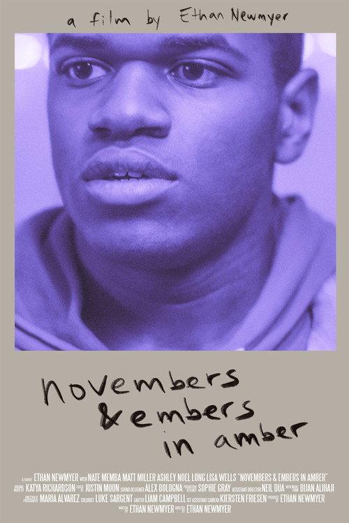 Novembers & Embers in Amber 2019 official movie poster