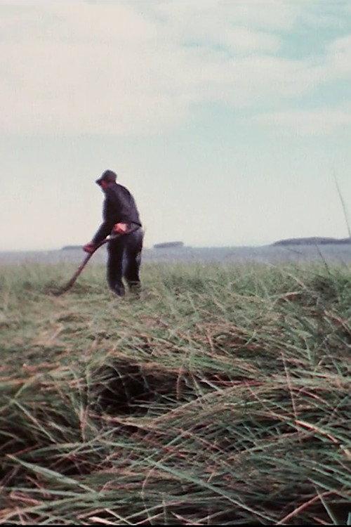 Farmer 1973 official movie poster