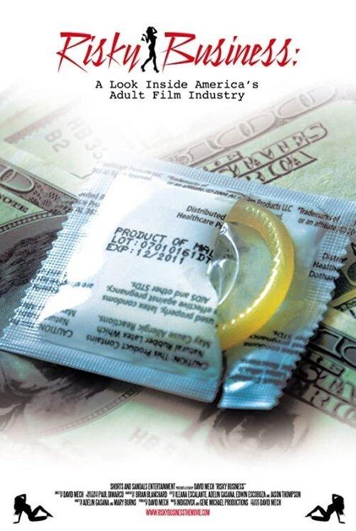 Risky Business: A Look Inside America's Adult Film Industry 2013 official movie poster