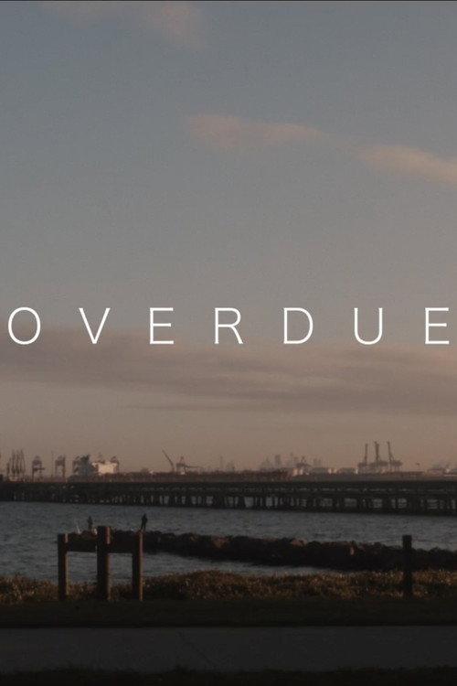 Overdue 2021 official movie poster