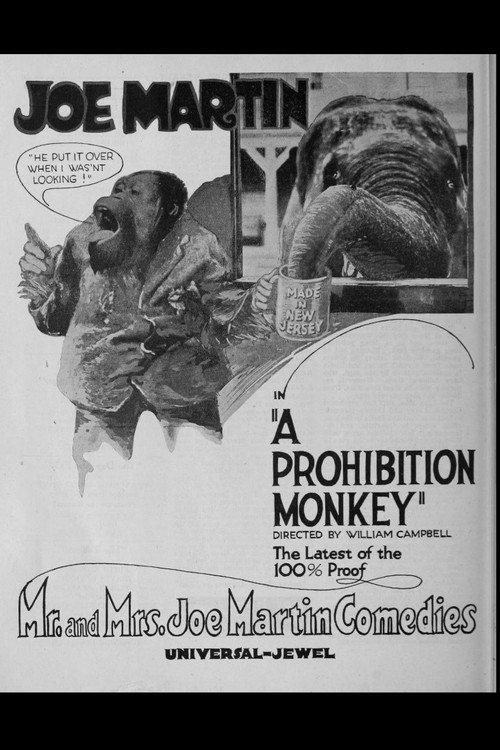 A Prohibition Monkey 1920 official movie poster