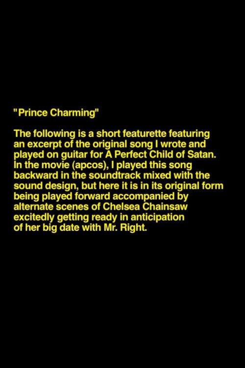 Prince Charming 2016 official movie poster