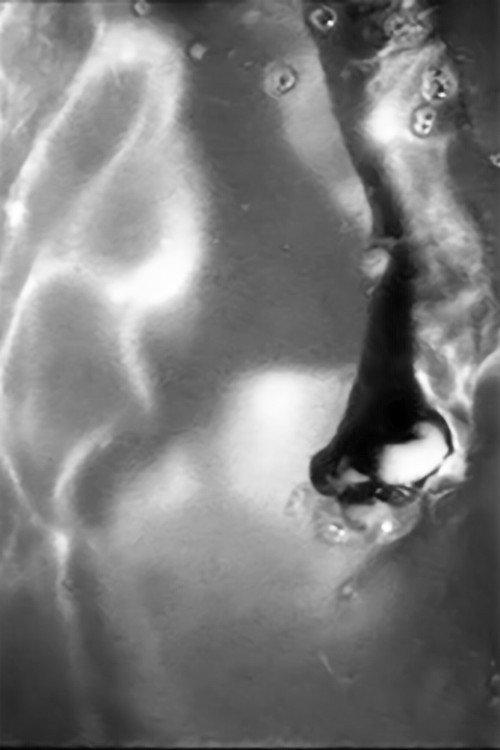 Apnae Water Skin 1995 official movie poster