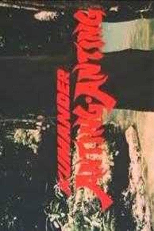 Kumander Anting-Anting 1988 official movie poster