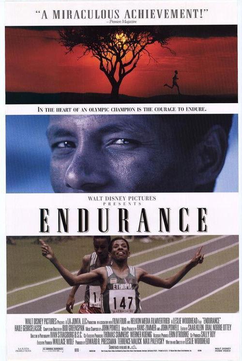 Endurance 1999 official movie poster