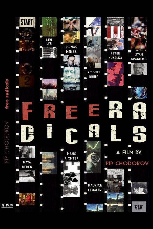 Free Radicals: A History of Experimental Film 2011 official movie poster