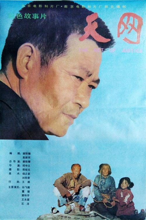 The Net of Justice 1994 official movie poster