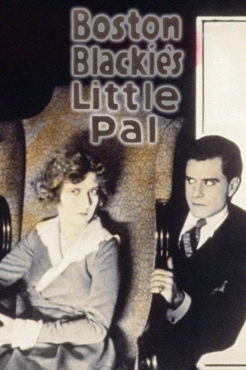 Boston Blackie's Little Pal 1918 official movie poster