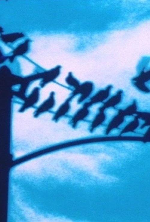 Faultlines 1998 official movie poster