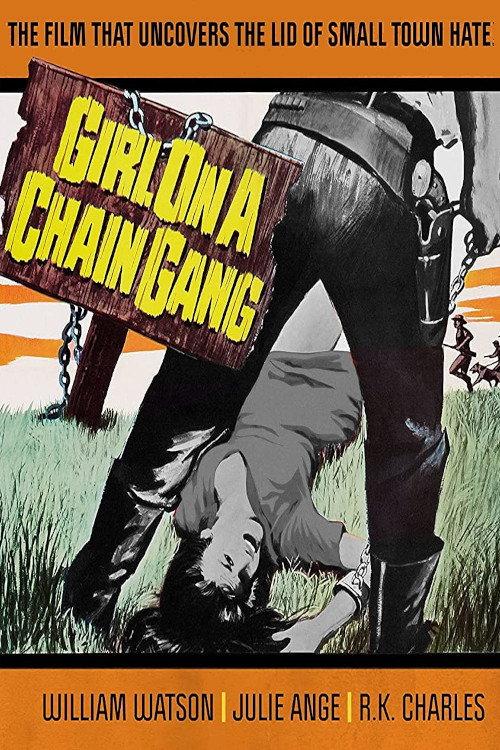 Girl on a Chain Gang 1966 official movie poster