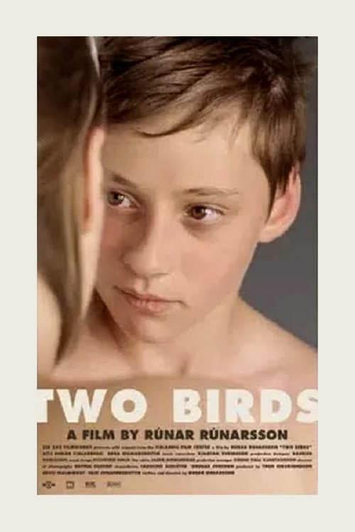 Two Birds 2008 official movie poster