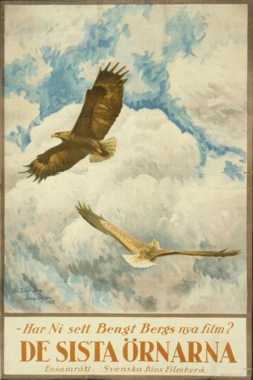The Tale of the Last Eagles 1923 official movie poster