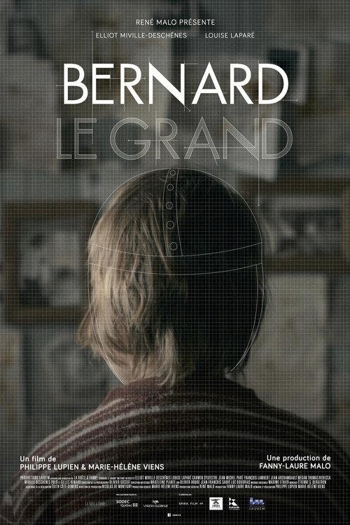Bernard the Great 2013 official movie poster