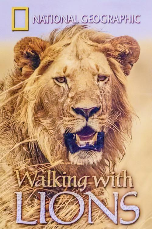 Walking with Lions 2004 official movie poster