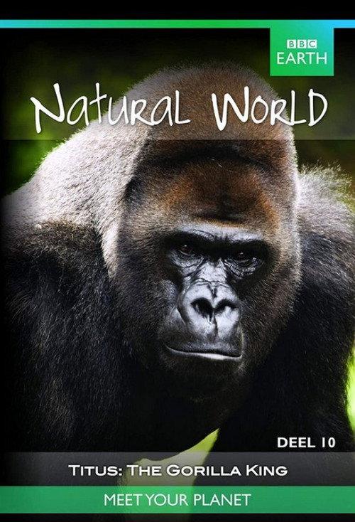 Titus: The Gorilla King 2008 official movie poster
