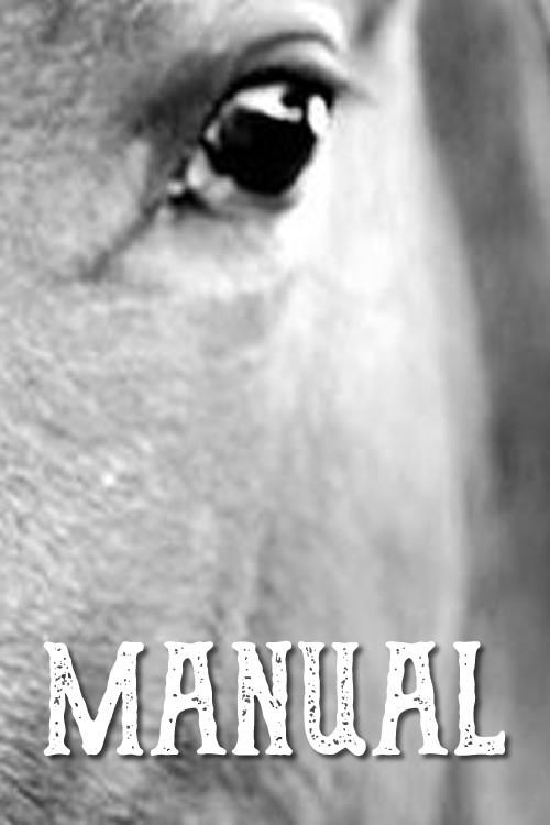 Manual 2016 official movie poster