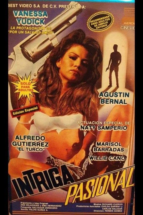 Intriga pasional 1993 official movie poster