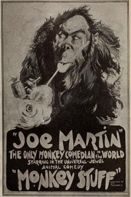 Monkey Stuff 1919 official movie poster