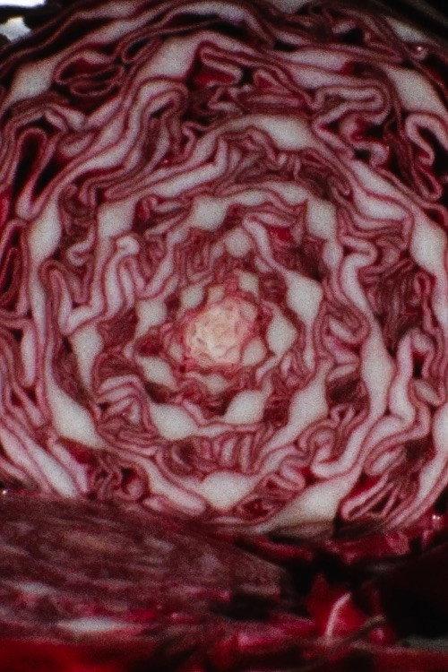 Cabbage 1972 official movie poster