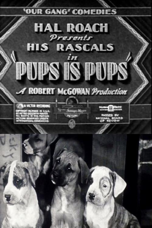 Pups Is Pups 1930 official movie poster