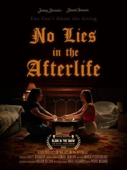 No Lies in the Afterlife 2025 official movie poster